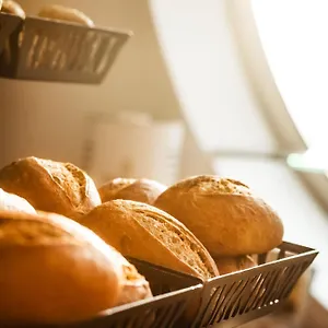 https://mercure-hotel-art-leipzig.bestleipzighotels.com